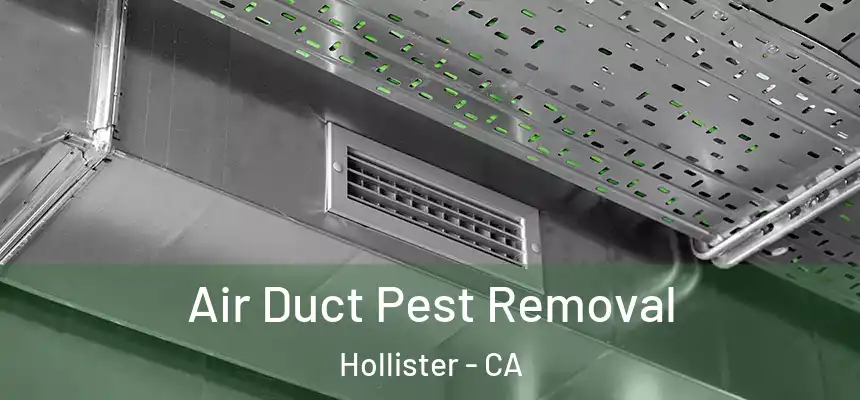 Air Duct Pest Removal Hollister - CA