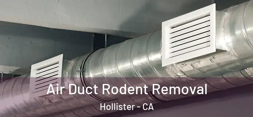 Air Duct Rodent Removal Hollister - CA