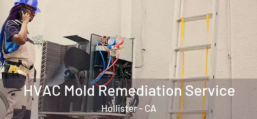  HVAC Mold Remediation Service Hollister - CA