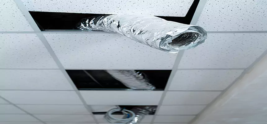 Affordable HVAC Sanitizing After Pest Removal in Hollister