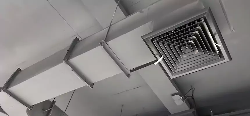 Restorative Allergy Relief Vent Cleaning – Coil, Blower & Housing Detail in Hollister