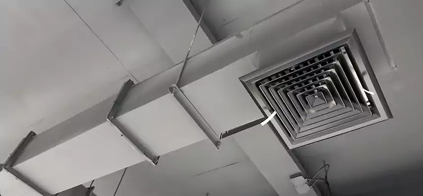 Our Rodent Droppings In Vents Services in Hollister, CA