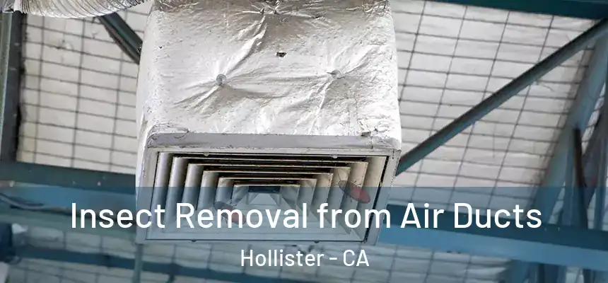 Insect Removal from Air Ducts Hollister - CA
