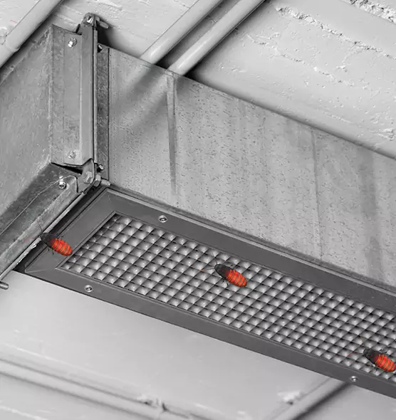 About Air Duct Cockroach Removal in Hollister, CA