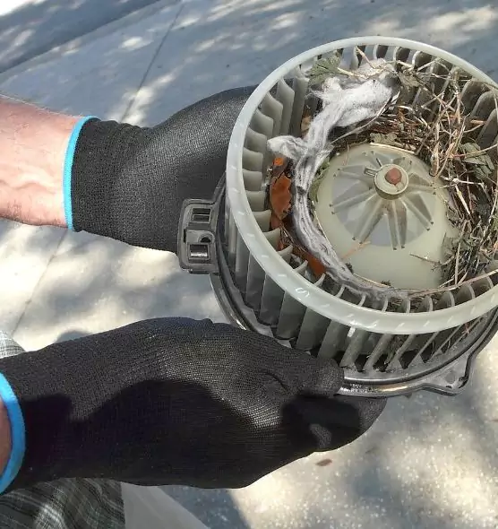 About Air Duct Rat Removal in Hollister, CA