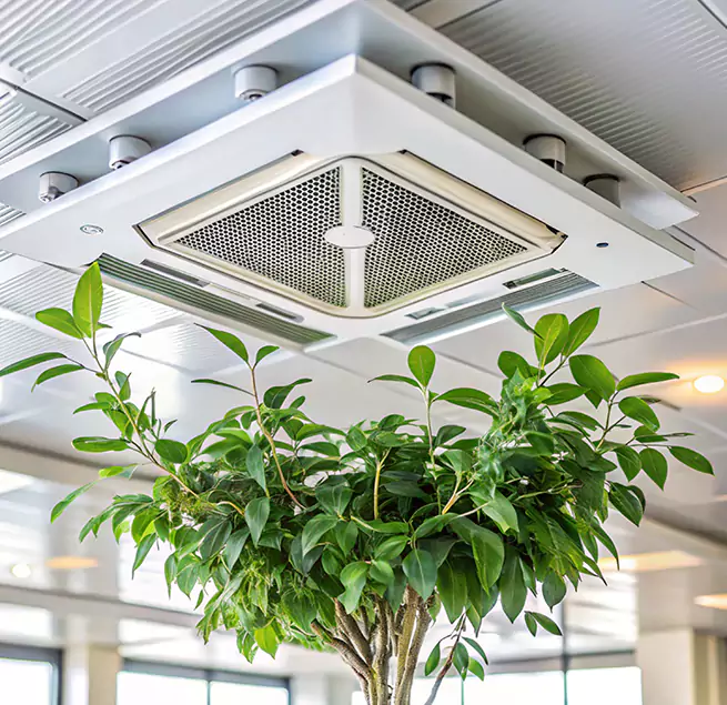 Why Homeowners & Businesses Trust Us in Hollister, CA